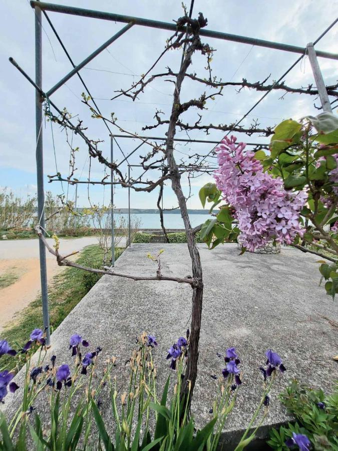 Apartmani Seaview Ljubac  Exterior photo